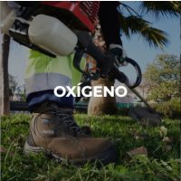 Oxigeno